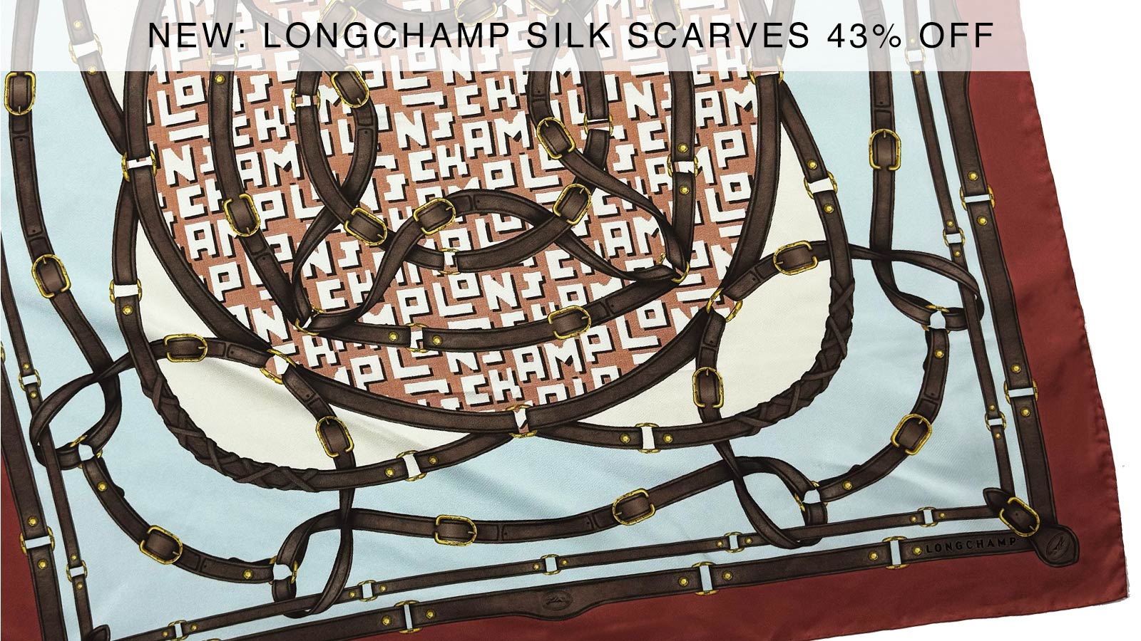 Longchamp Scarves