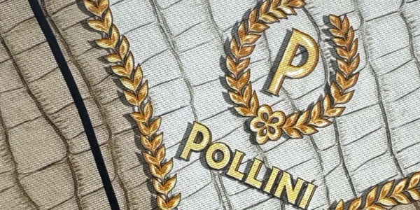 Pollini Scarves