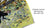 Scarves Christian Lacroix