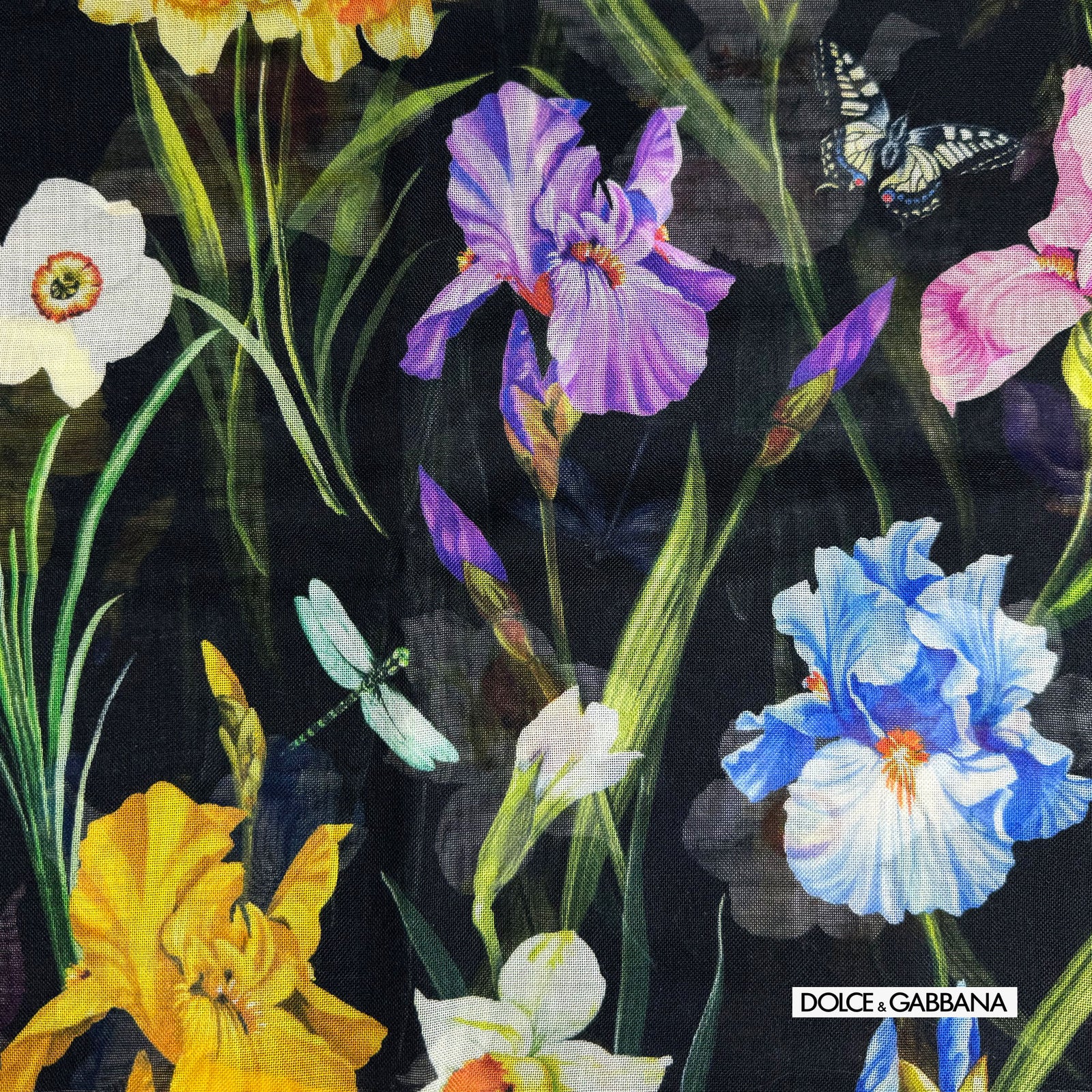 Dolce & Gabbana Scarf Extra Large Square Shawl