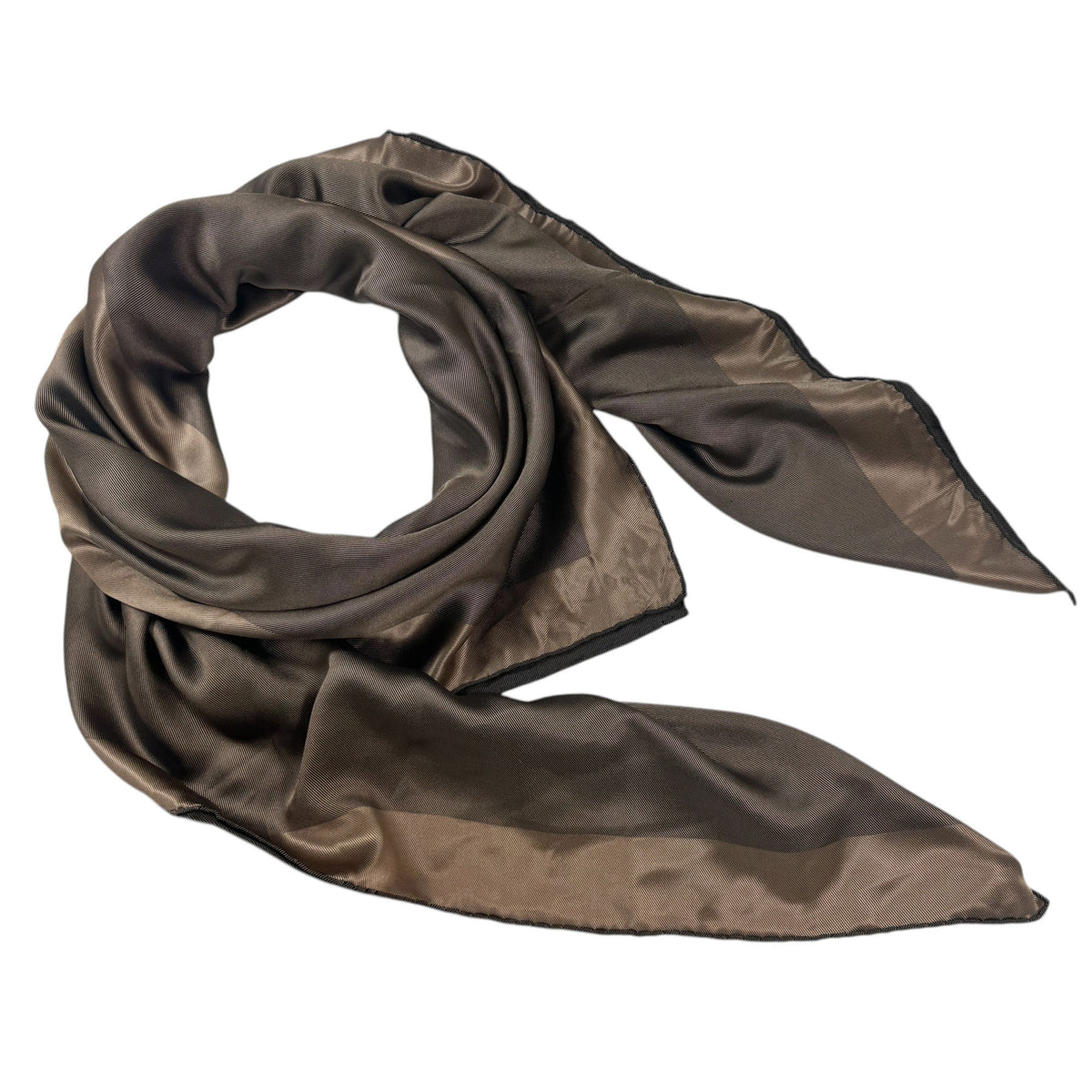Elie Saab Scarf Bronze Brown