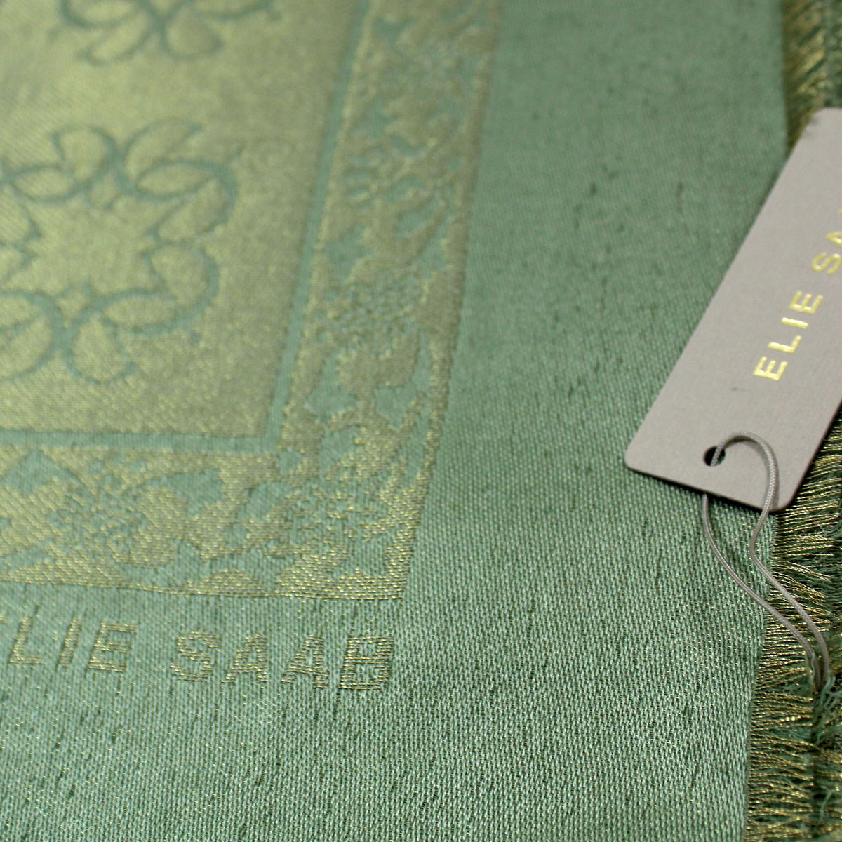 Elie Saab Scarf Light Green