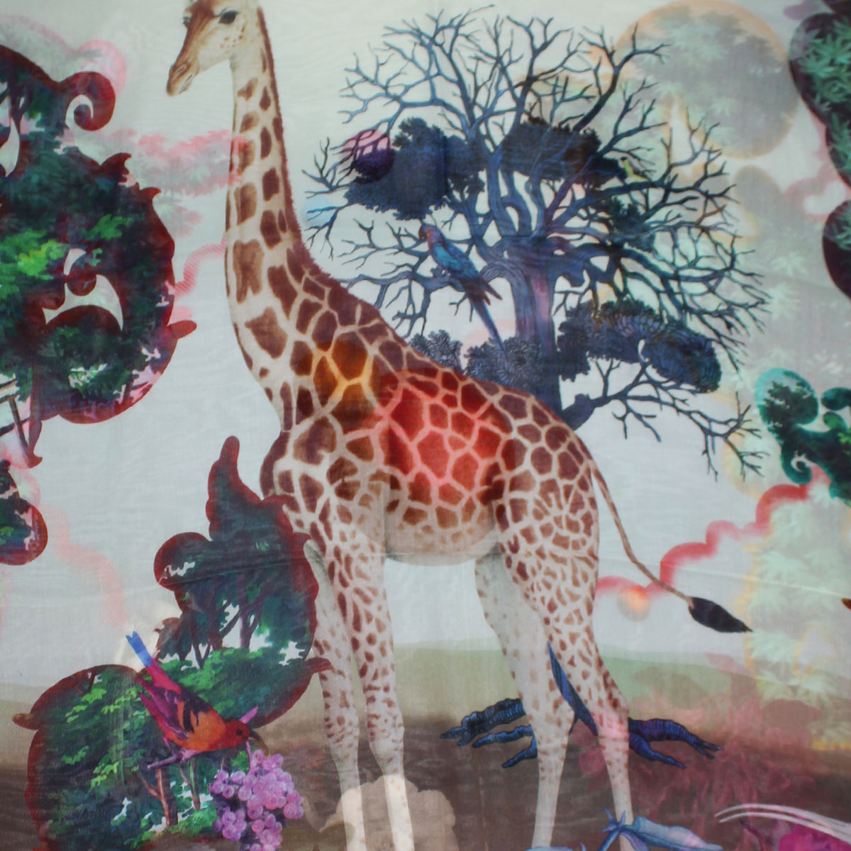 Christian Lacroix Scarf Midnight Blue - Chiffon Silk Shawl