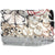 Elie Saab Scarf Gray Beige Red Floral Design - Chiffon Silk Shawl
