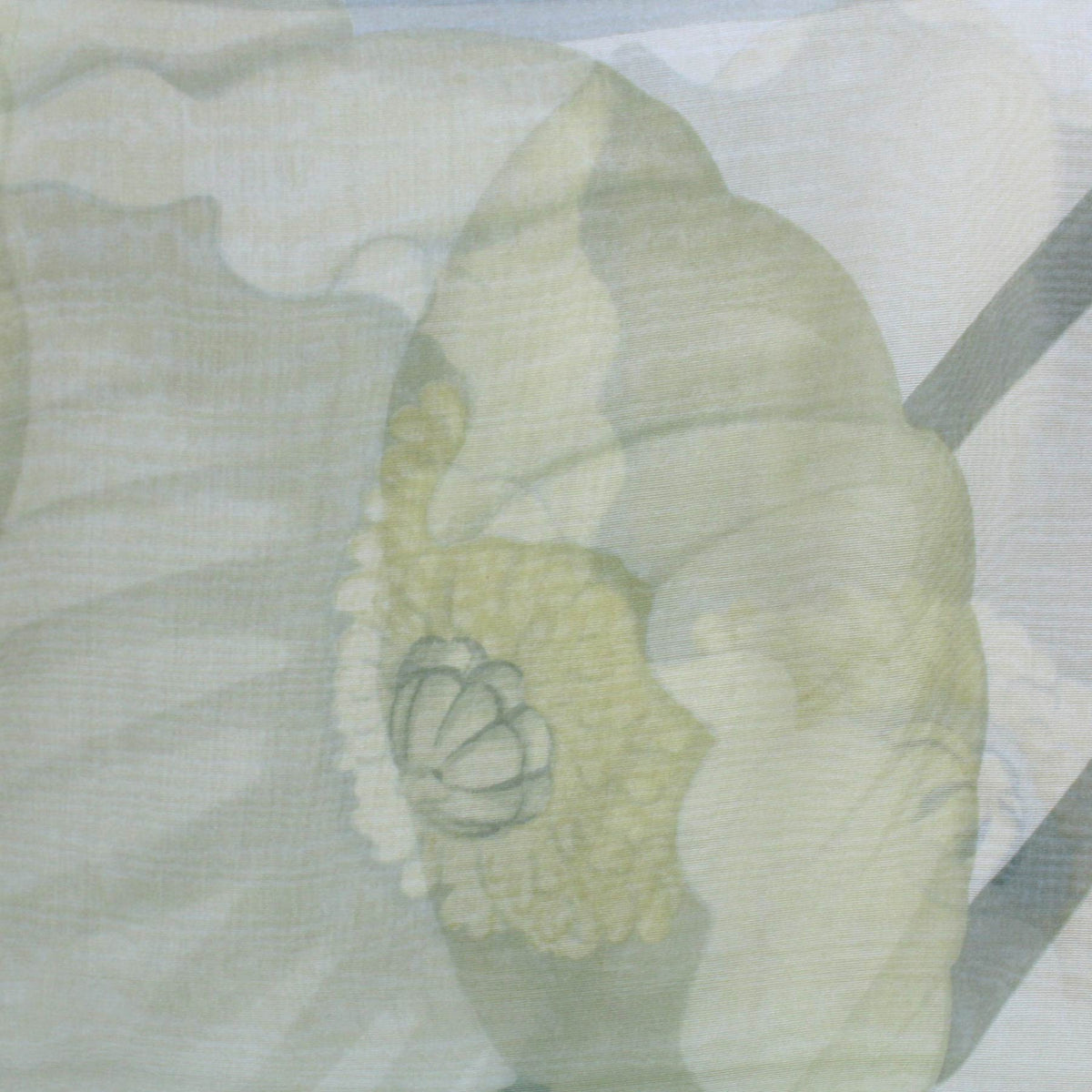 Salvatore Ferragamo Scarf - Chiffon Silk Women Shawl