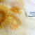 Salvatore Ferragamo Scarf Orange Green Floral - Chiffon Silk Designer Shawl