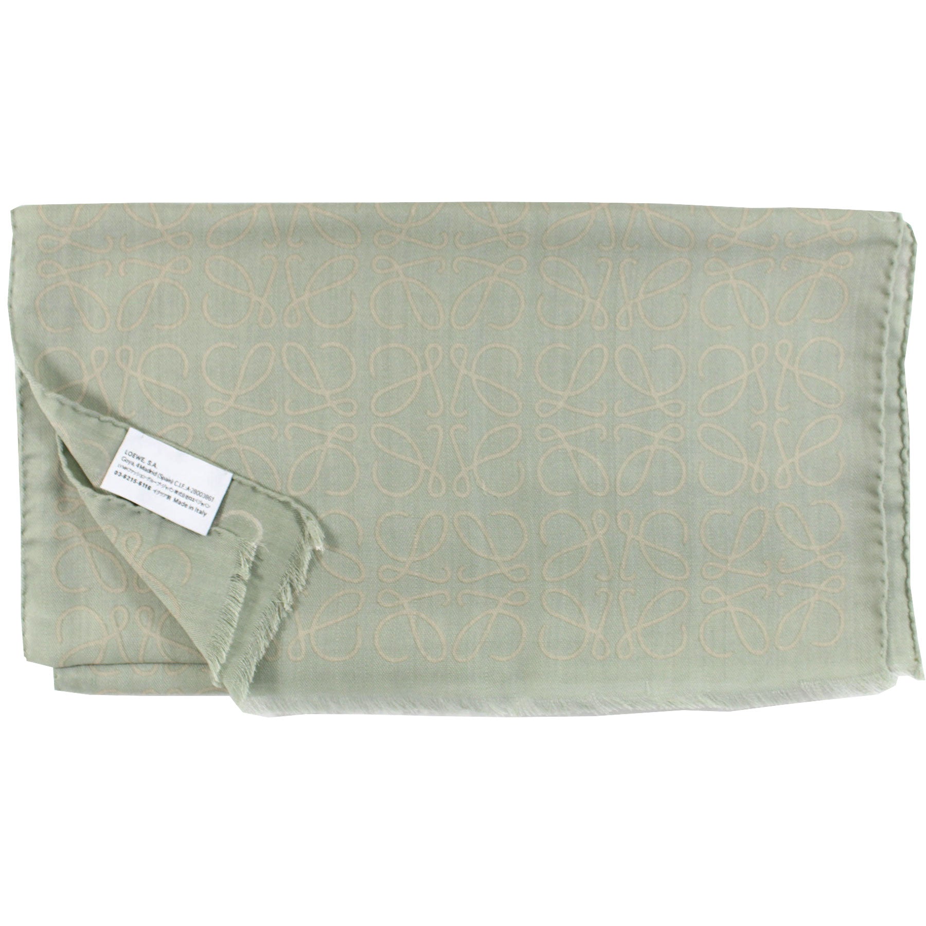 Loewe Anagram Scarf Ceylon Green - Wool Silk Cashmere Shawl